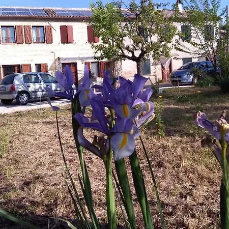 Frühstückspension Casa Sgaria *